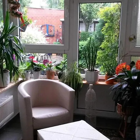 - P Krol إرفورت